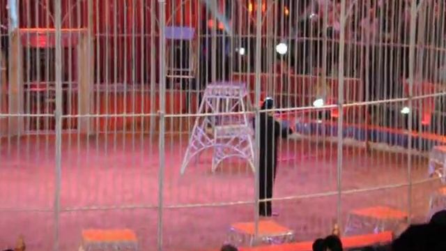 L'Open Door Circus Show del 37° Festival di Montecarlo смотреть онлайн