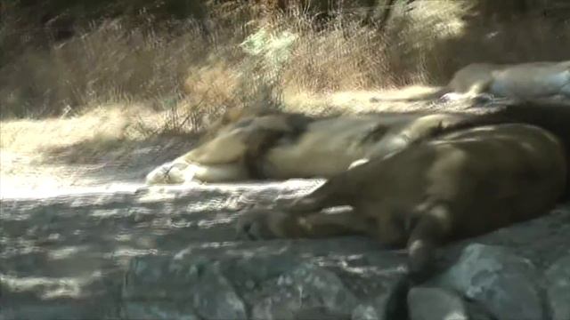 Испания, Часть 5, Сафари Айтана, Тематический парк развлечений Терра Митика смотреть онлайн