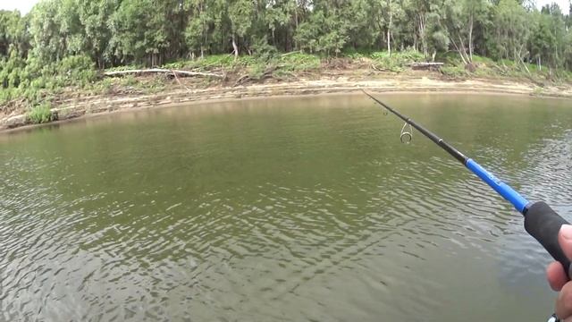 Когда ехать на Обь? Рыбалка на Оби в 01.07.2022г. смотреть онлайн