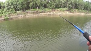 Когда ехать на Обь? Рыбалка на Оби в 01.07.2022г.