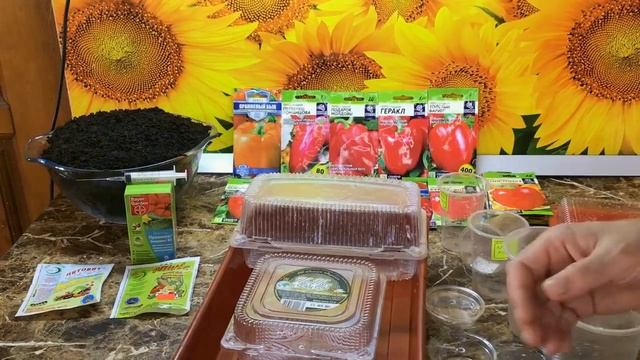 Посев сладкого перца от А до Я все в одном видео. Первый посев перца 2022 года. смотреть онлайн