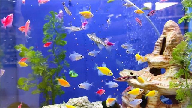 Просто очень кушать хочется.