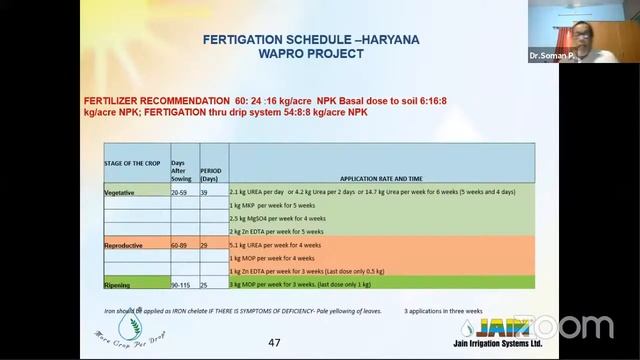 A webinar on Rice cultivation with Drip Irrigation and Fertigation смотреть онлайн