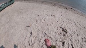 Донская селедка. Бешеный клёв