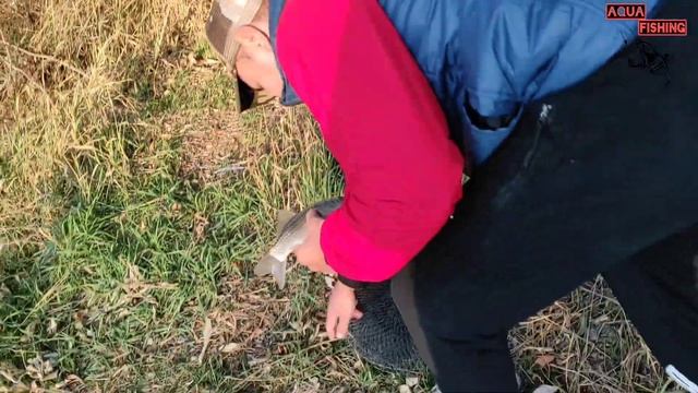 Карась и Лещ осенью на реке. Кукуруза, Пенопласт, Макуха. Было очень холодно. смотреть онлайн