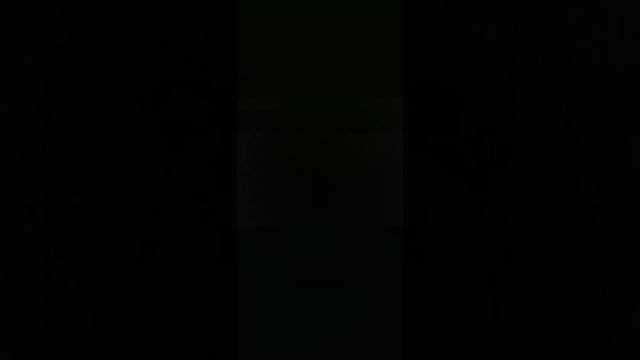 night party pray vore смотреть онлайн