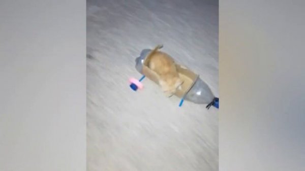 try not to laugh impossible (Mr. Memes)