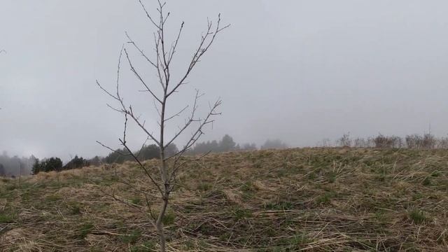 Адыгея 2022 серия 1 смотреть онлайн