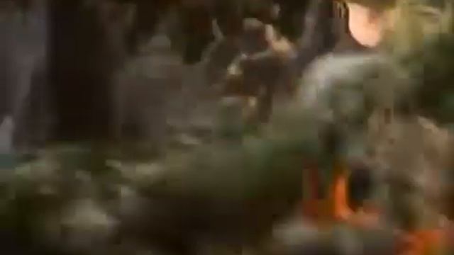 Песня Лешего - Поверьте Лешему. Ей-ей-ей, не лгуу (Новогодние приключения Маши и Вити, 1975) смотреть онлайн