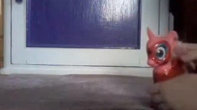 Мой оак леди баг смотреть онлайн