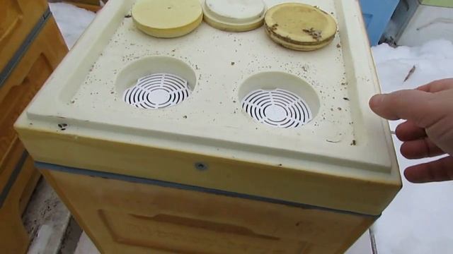 теплый февраль, начал выставлять пчел из зимовника - 5 февраля 2023 года смотреть онлайн