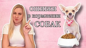 ОШИБКИ В КОРМЛЕНИИ СОБАК|КАК ПРАВИЛЬНО КОРМИТЬ СОБАКУ|ЧЕМ КОРМИТЬ СОБАКУ