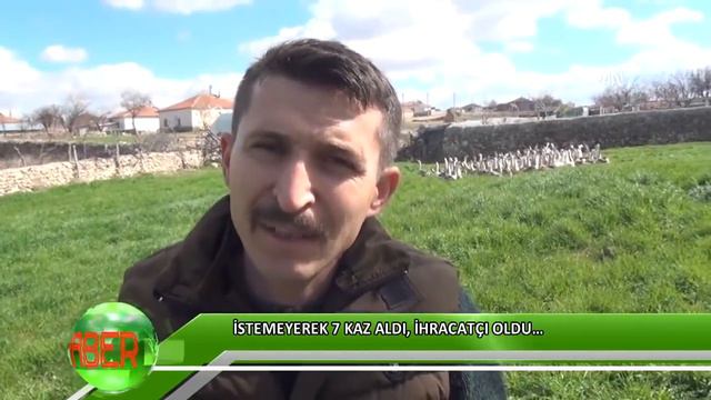 İstemeyerek 7 kaz aldı, ihracatçı oldu смотреть онлайн
