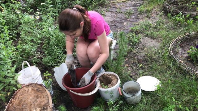 Высаживаем петунию и расчищаем путь к заброшке смотреть онлайн