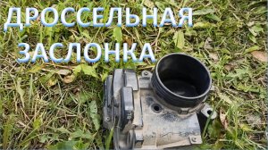 Дроссельная заслонка: снятие, промывка, замена уплотнительного кольца, установка. Двигатель EP6