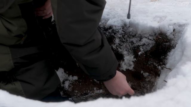 Minelab Vanquish 440 - Обзор и тесты / МДРегион