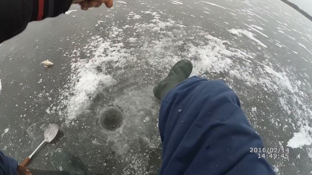 Зимняя рыбалка. Ловля плотвы на мормышку с мотылём, и на гвозде кубик. смотреть онлайн