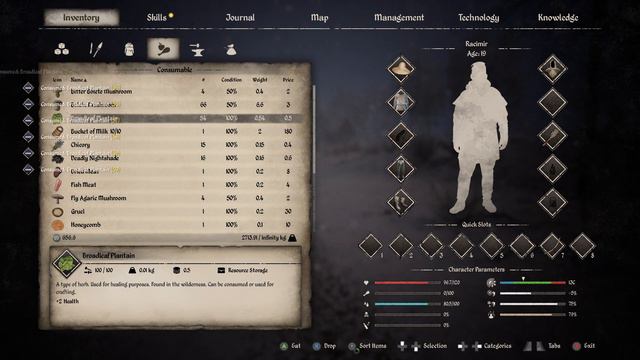 Medieval Dynasty 2021 11 21 09 40 57 смотреть онлайн
