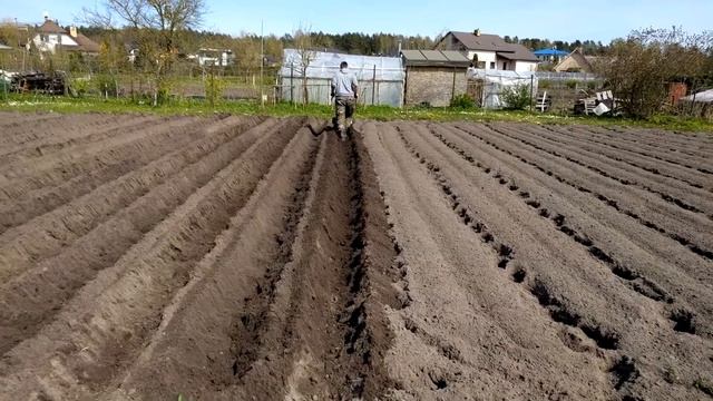 TZWD BK-55Z 01.05.2020 смотреть онлайн