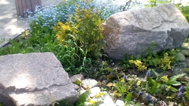 Летний привет из Киева и ёжик с туманом. смотреть онлайн