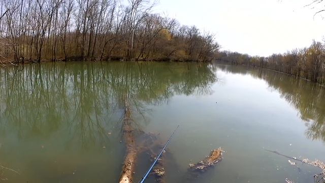 Sight Fishing For Carp With Bread - How To Catch Carp The Easy Way смотреть онлайн