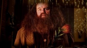 Что стало с героями Гарри Поттера после Хогвартса? Большой Разбор