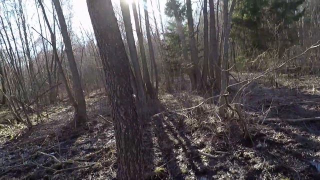 Болото смотреть онлайн