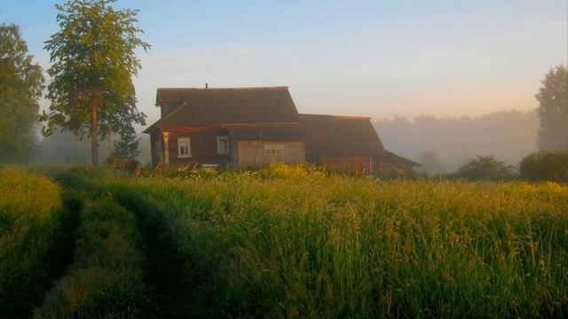Звуки Природы / Расслабляющие звуки деревни утром / Пение птиц / Деревня в утренние часы. смотреть онлайн