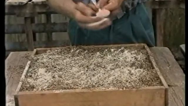 Овощеводство по Миттлайдеру 3 - Посев семян смотреть онлайн