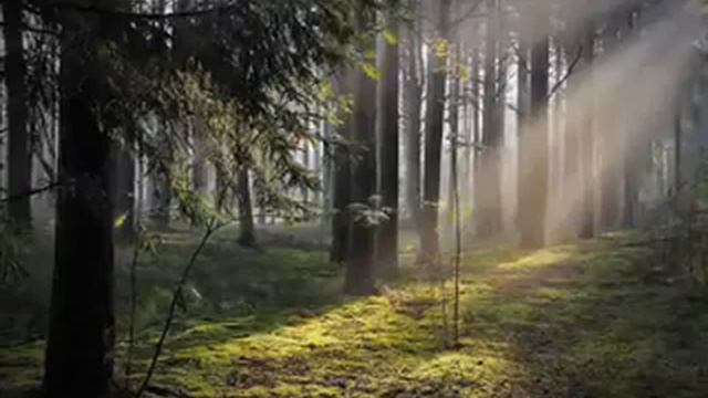 Солнцеворот Аркона Solncevorot Arkona смотреть онлайн