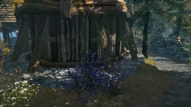 Skyrim (Whiterun) With Graphics Mods