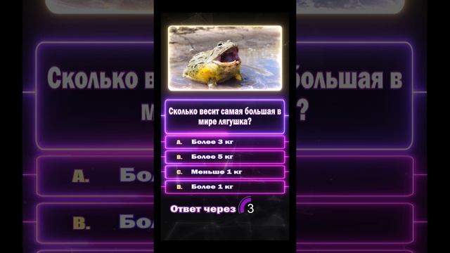 А ты знаешь сколько весит лягушка? смотреть онлайн