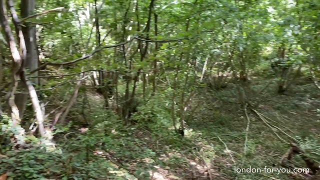 898 Исторический Холм железного века - Bigbury Wood смотреть онлайн