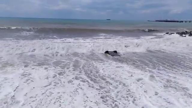 Sea waves. Море. Туапсе. Волны. 05.08.2019 смотреть онлайн