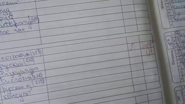 Что у меня в дневнике??