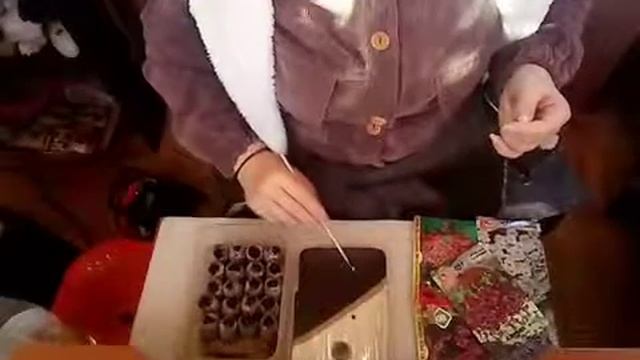 Посев петунии фирмы Биотехника в торфяные таблетки с препаратом НВ-101 стимулятор роста, укоренител смотреть онлайн
