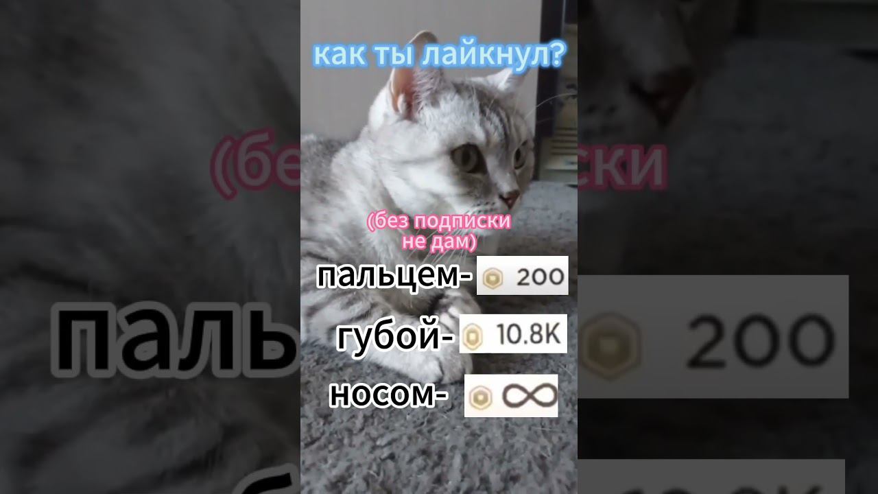 #shorts #sounds #recommended #4k #4kvideo #беззвука #интересно #2024 #нг #имялуна #games #proof смотреть онлайн