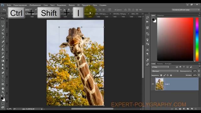 Как правильно сделать размытый фон в Adobe Photoshop CC смотреть онлайн
