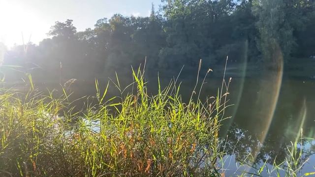 в’Суть притчи о жизни. смотреть онлайн