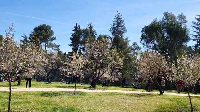 PARQUE QUINTA DE LOS MOLINOS | MADRID SPAIN