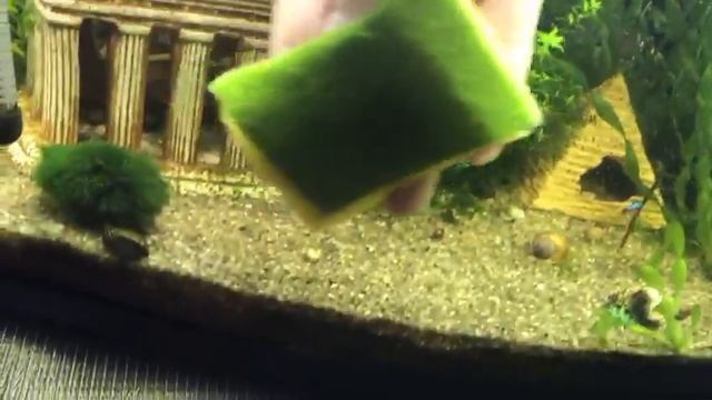 Аквариум так не надо мыть смотреть онлайн