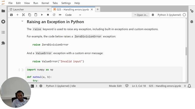 025 - ERROR HANDLING AND EXCEPTIONS IN PYTHON смотреть онлайн