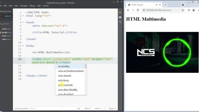 #28 Multimedia in HTML | Video & Audio Element | HTML Tutorial смотреть онлайн