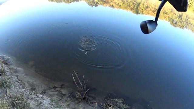 На Дону пошла Чехонь.Отличная рыбалка. смотреть онлайн