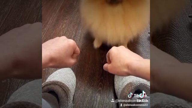 максимка🥰