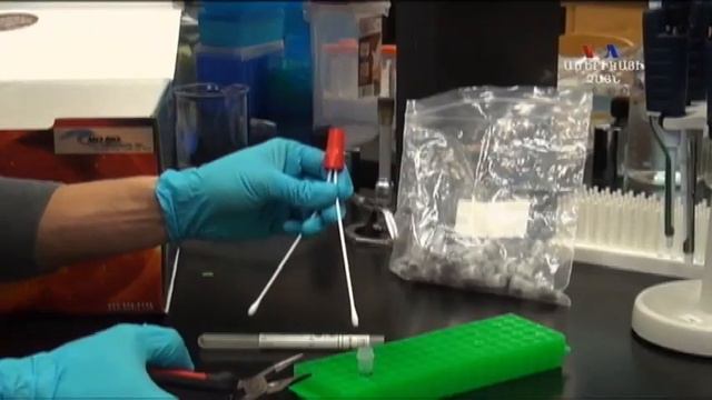 Միկրոբների ուսումնասիրության նախաձեռնություն смотреть онлайн