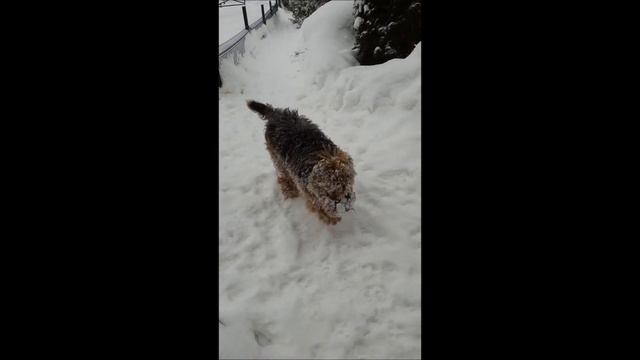 7 Февраля2022 в снегах. смотреть онлайн