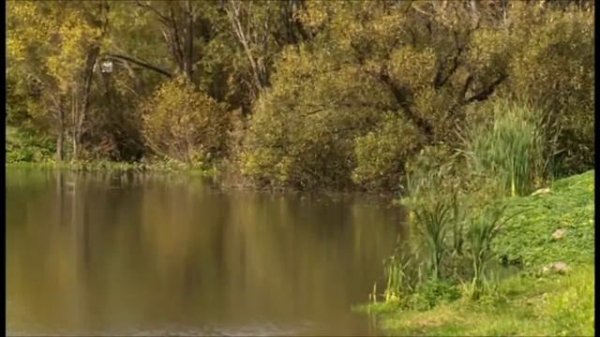 Кувакский Мёд