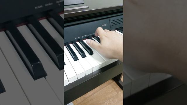 Test 4 Casio Celviano Ap 250