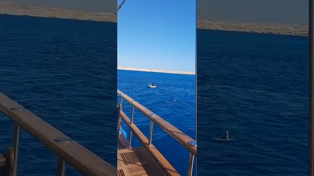 как не нужно вести себя в поездке смотреть онлайн